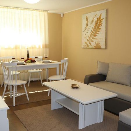 Cluj City Center Apartment Екстер'єр фото